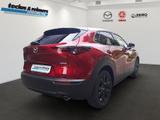 Mazda CX-30 e-SKYACTIV-G 140 Autom. Homura - rote Mazda CX-30