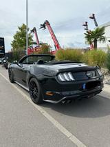 Ford Mustang 5.0 Ti-VCT V8 GT Auto GT - Ford Mustang Gebrauchtwagen in Frankfurt