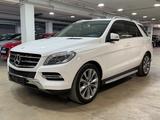 Mercedes-Benz ML 250 CDI  Leder~Klima~Navi~Bixenon~Automatik - Mercedes-Benz ML-Klasse Kombi Gebrauchtwagen