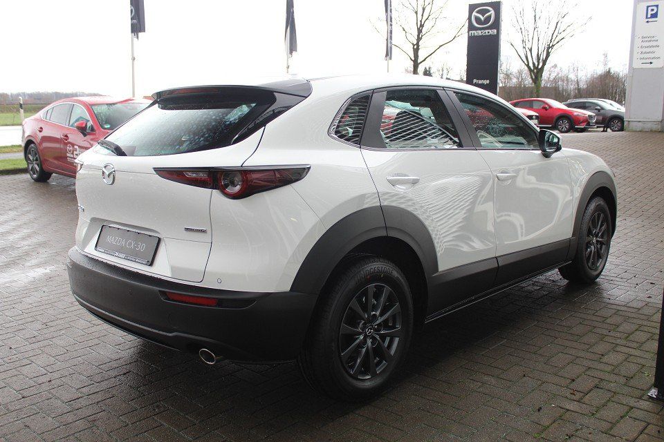 Fahrzeugabbildung Mazda CX-30 M-Hybrid Selection G-122 AHK NAVI ACAA SHZ