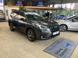 Subaru Forester Edition Black Platinum - Subaru Forester mit Benzin-Antrieb: Leder, Navigationssystem