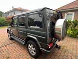 Mercedes-Benz G, der perfekter Offroad-Trip Partner. - Mercedes-Benz G 270 aus 2004