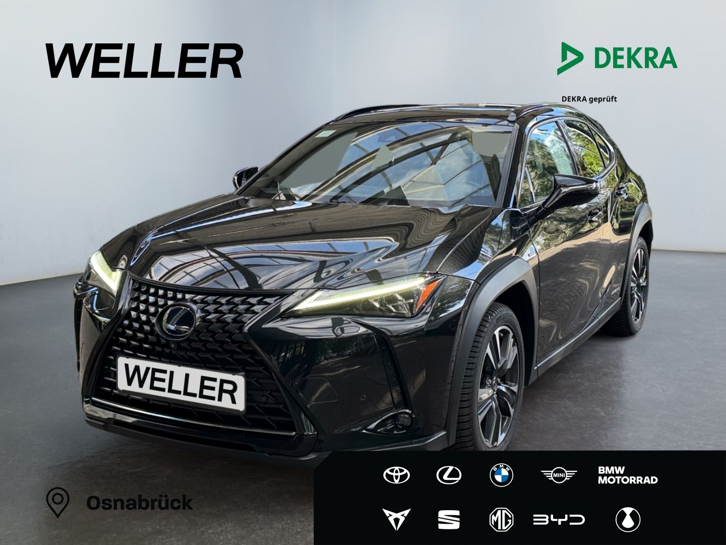 Lexus UX 250h Luxury Line