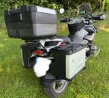 BMW R 1200 GS * ESA * Koffer (3) * Heizgriffe - BMW 2008 1200 GS