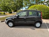 Fiat Panda 1.1 Active, wenig km, TÜV bis 03/2028!!! - Fiat Panda bis 5.000 Euro