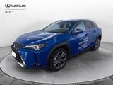 Lexus UX 300 e Luxury 2WD - Lexus UX 300e Gebrauchtwagen