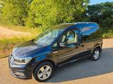 Volkswagen Caddy 2,0TDI Highline Xenon, ACC, Navi - Volkswagen Caddy: Highline