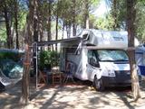 Ford Wohnmobil Ford Rimor Katamarano 7 - Sitz-/... - Ford: Wohnmobil