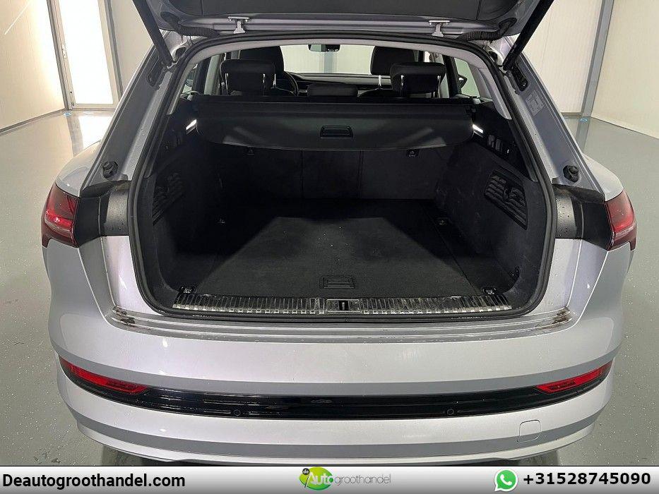 Audi e-tron 55 quattro Advanced edition 95 kWh, миниатюра 27