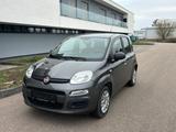 Fiat Panda 1.2/Tüv neu/Zahnriemen neu/Reifen neu - Fiat Panda in Ludwigshafen