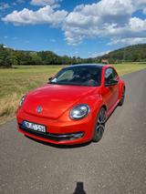 Volkswagen Beetle 1.4 TSI BMT CLUB CLUB