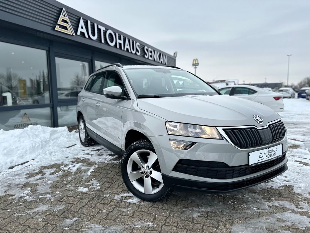 Angebot ansehen Skoda Karoq