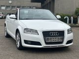 Audi A3 Cabriolet 1 HAND/ LEDER/ TÜV NEU - Audi A3 aus 2009: Cabrio