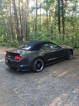Ford Mustang Cabrio 5.0  V8 GT US-Import - : Import