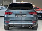 Cupra Ateca 4Drive Limited-Akrapovic|Pano|Totw|Virtual - Cupra Ateca in Wuppertal