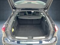 Audi A5 - Vorschau Bild 14