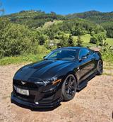 Ford Mustang 5.0 V8 GT Shelby Optik - Ford Mustang: Schwarz, Shelby