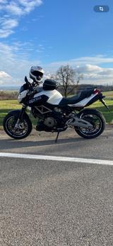 Aprilia Shiver 750 mit ABS - APRILIA SHIVER