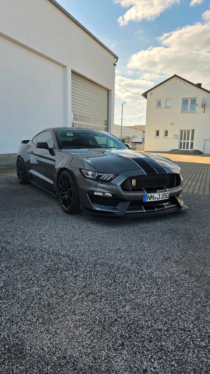 Ford Shelby GT350 | 533 PS | Handschalter | KW V3+