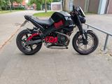Buell Verkaufe oder tausche XB9S - Offers matching your search criteria