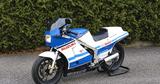 Suzuki RG 500 - Angebote