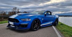 Ford SHELBY MUSTANG SUPER SNAKE auf lager
