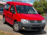 Volkswagen Caddy Life Gewinner*I.HAND*KLIMAAUT* - Volkswagen Caddy: Gewinner