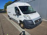 Fiat Ducato Kastenwagen Weiß L4H2 - Fiat Ducato: Kastenwagen
