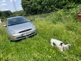 Ford Focus 1.6 Futura Futura - Ford Focus: Futura