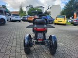 Andere ARI 145 eLastentrike+BEINSCHILD+45KMH+FAHRENAB15 - TRIKE AUTOMATIK