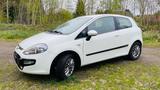 Fiat Punto Evo MyLife Mit Neue TÜV - Fiat Punto Evo aus 2011