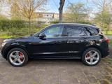 Audi Q5 3.0 TDI S tronic quattro - - Audi Q5 Gebrauchtwagen in Köln