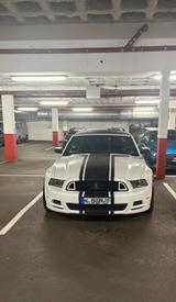 Ford mustang Shelby - Ford Mustang in Nürnberg