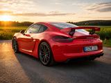 Porsche Cayman GT4 /2.Hand/Originalzustand - Porsche Cayman aus 2015