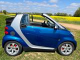 Smart ForTwo cabrio 1.0 52kW passion passion - Smart ForTwo Gebrauchtwagen in Oldenburg