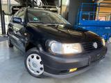 Volkswagen Polo 1.4 Klima 5-Türer - gebrauchte Volkswagen Polo aus dem Jahr 1999