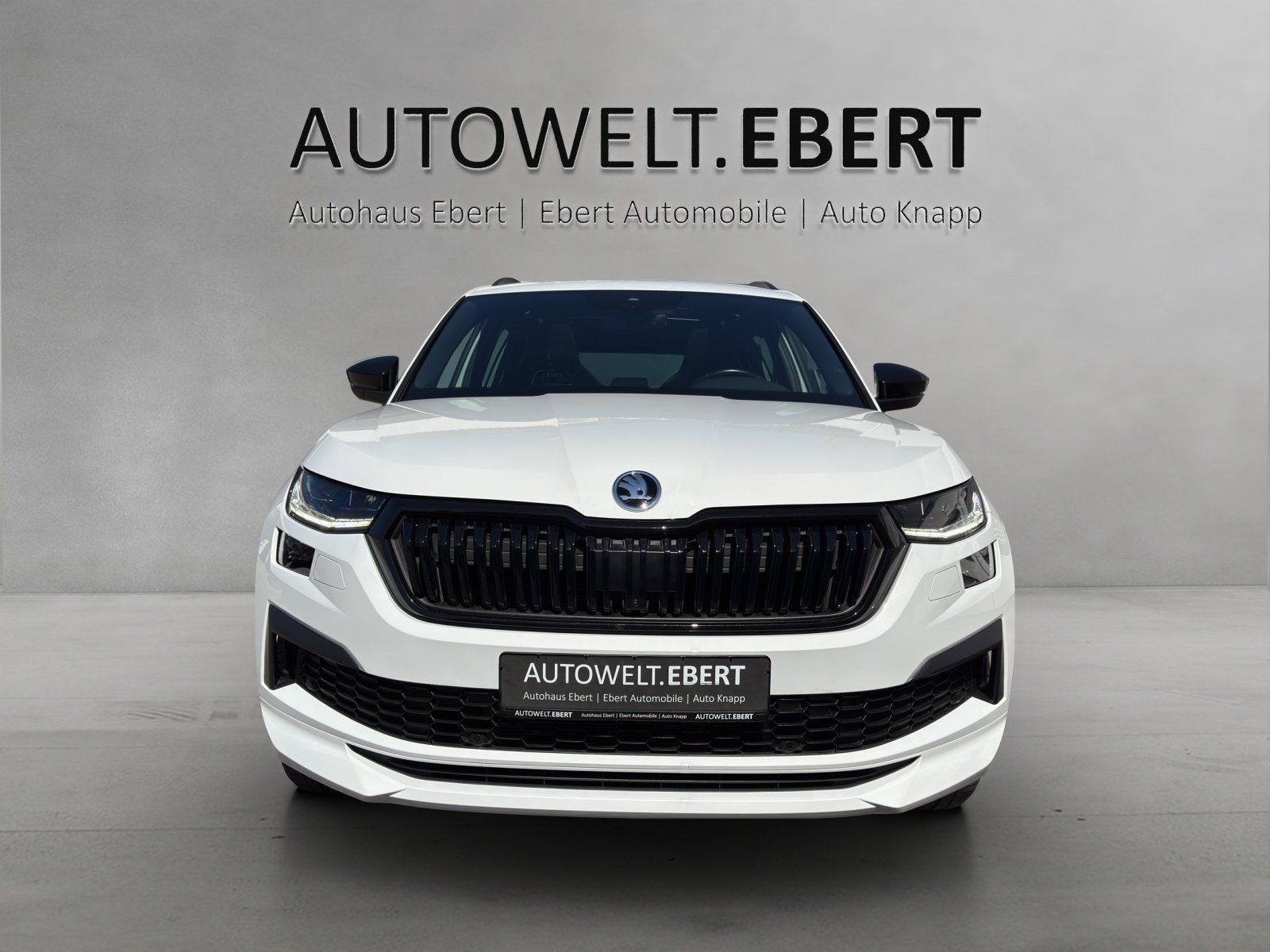 Fahrzeugabbildung SKODA Kodiaq 2.0 TSI Sportline 4x4/AHK/PANO/360°CAM/