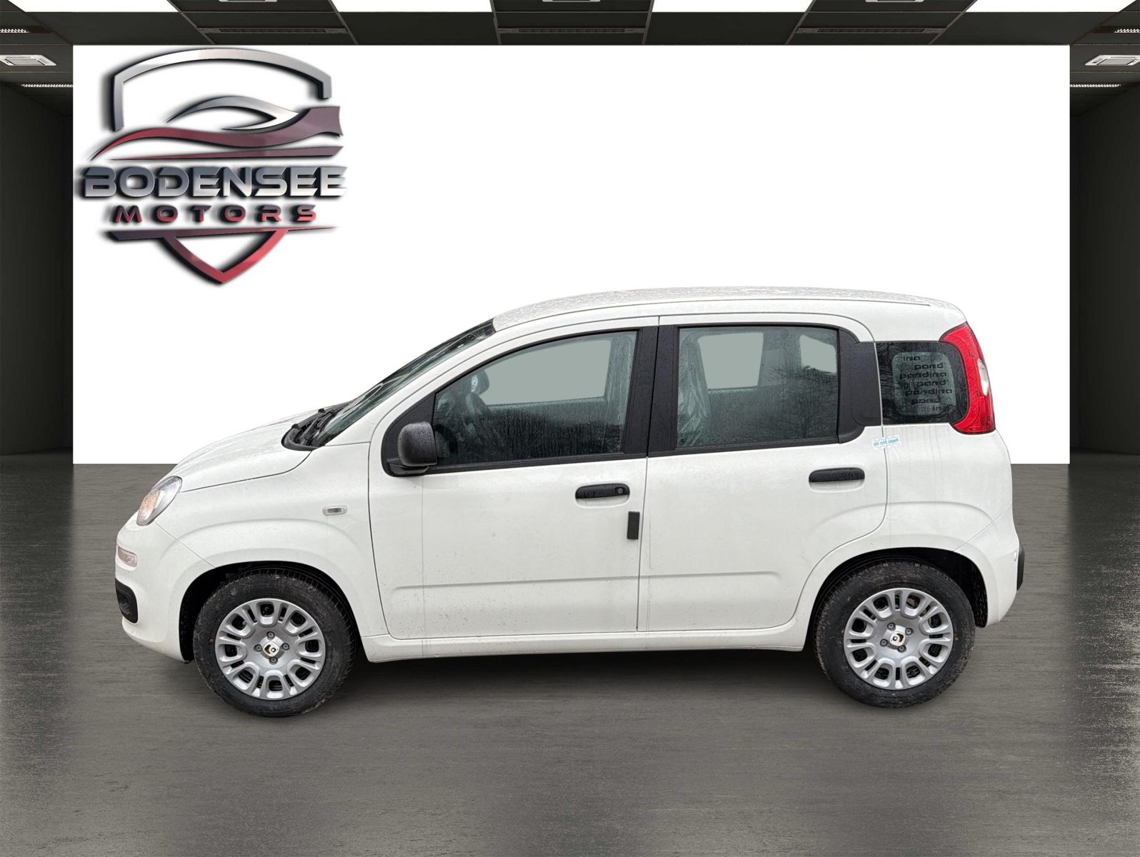 Fahrzeugabbildung Fiat Panda Pandina Icon