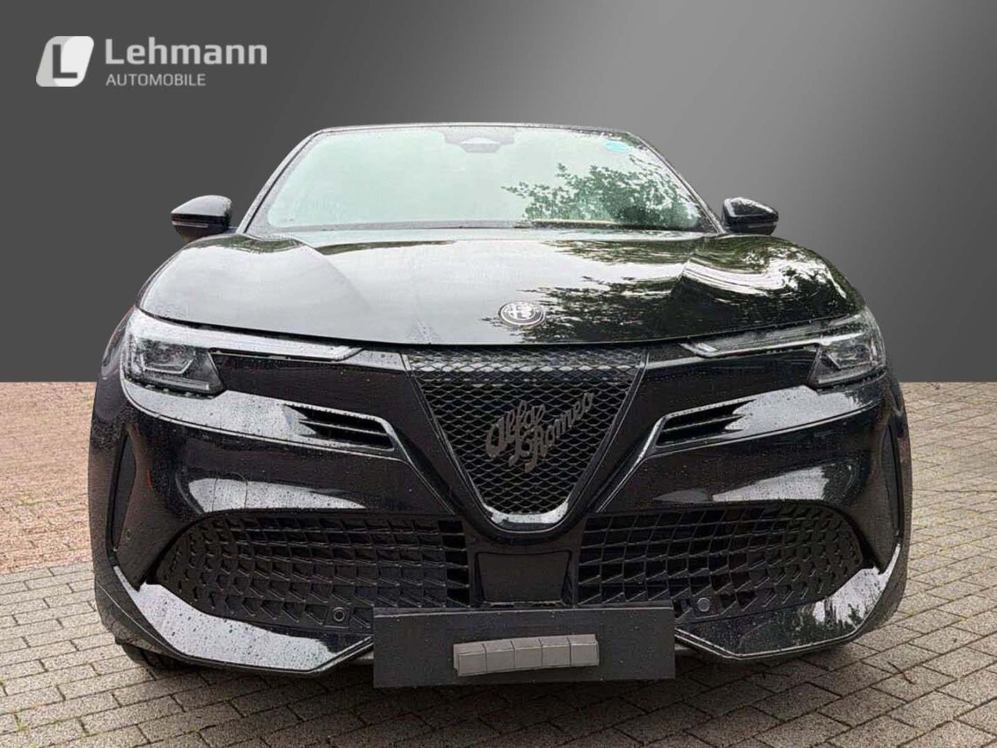 Fahrzeugabbildung Alfa Romeo Junior Elettrica TI -Technologie-Panorama-Wärmep