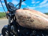 Harley-Davidson Iron 1200 / Endzeit Optik / Custom Paint - HARLEY-DAVIDSON PA