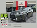 Lexus UX 300h Luxury Line HUD*Navi*MarkLevinson - Lexus UX in Dresden