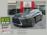 Lexus UX 300h Luxury Line HUD*Navi*MarkLevinson - Lexus UX in Dresden