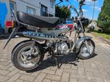 Honda Dax ST50 AB23 - HONDA DAX 50