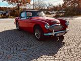 Austin Healey Mark III BJ8 - Austin Healey: Bj8
