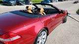 Mercedes-Benz SL 350 Sportmotor - - rote Mercedes-Benz SL 350