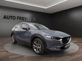 Mazda CX-30 X 186PS Selection PRE-P+DES-P+ 360°+BOSE+H - Mazda CX-30 Selection mit Hybrid-Antrieb (Benzin/Elektro)