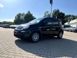 Fiat Panda 1.0 Hybrid 5 Sitzer *Klimaanlage PDC DAB+* - Fiat Panda: 5.5