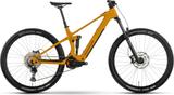 Raymon Airok Comp L - Raymon E-Bikes