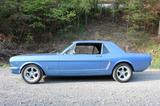 Ford Mustang V8 - gebrauchte Ford Mustang aus dem Jahr 1965