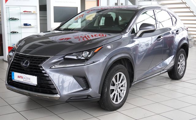 LEXUS NX 300